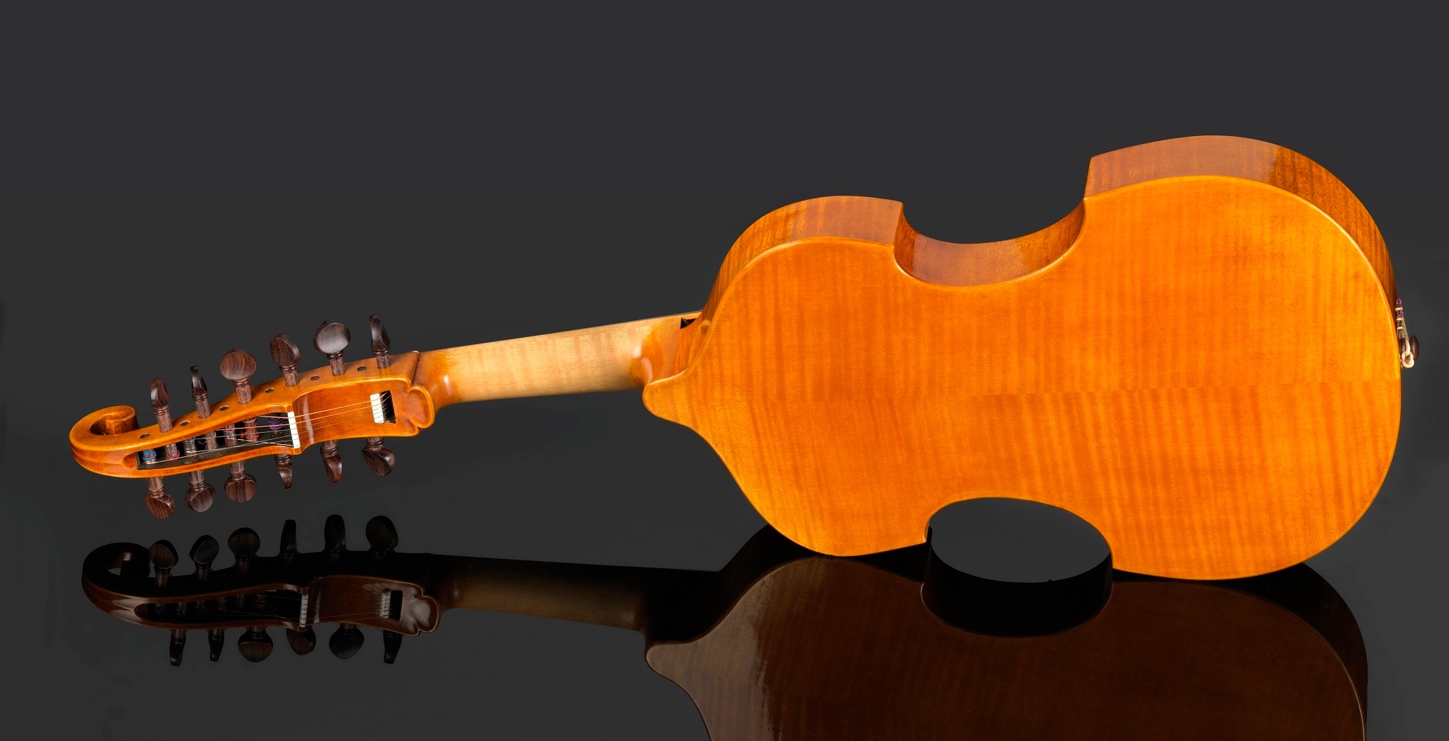 Daniel Ross 12 string viola d amore Delahousse 5